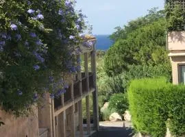 Studio 2 adultes 2 enfants Sanary sur Mer à 800m de la mer