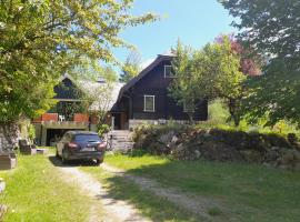 Ferienhaus Blommers, leilighet i Palfau