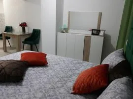Apartman NENA 102