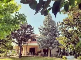 Villa Cycas