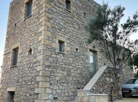 Elaionas Apartments 2, hotel with parking in Riglia