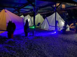 Aurora Glamping, lúxustjaldstæði í Vama Veche