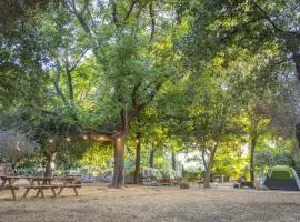 Camping Dafna - By Travel Hotel Chain