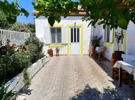 Lemon Garden 1