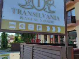 Pensiunea Transilvania, hotel v destinaci Odorheiu Secuiesc