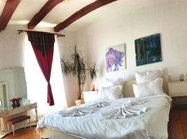 Casa din colțul Cetății，位于Hărman的酒店