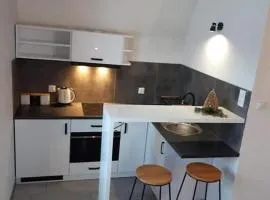 Apartament z widokiem na góry u Bronka