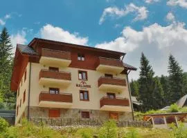 Apartmany Maliarik