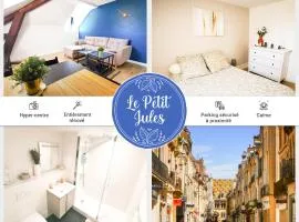 Appartement Cosy en Hypercentre - Le Petit Jules