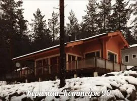 Holiday Cabin Kerimaa 90