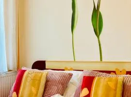 Alba Apartmany Železná Ruda