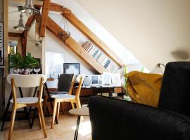 &Scaron;t&uacute;dio bl&iacute;zko centra, Žilinsk&aacute; 20