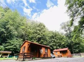 Sound of Nature Tismana