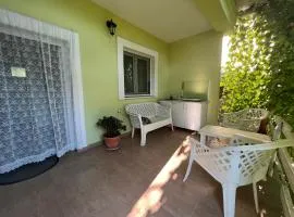Green House and garden