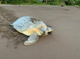 Casa Caribe, hotel v destinaci Tortuguero