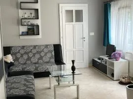 Cetinje Apartments