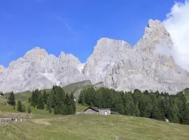 LA PULCE INNEVATA - Mansarda a due passi dal cielo - Dolomiti Affitti