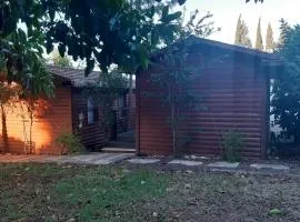 A Fun Holiday In The Galilee