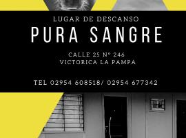 PURA SANGRE, cheap hotel in Victorica