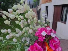 Irina's Guesthouse