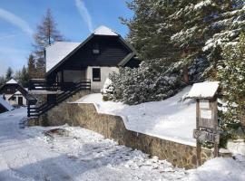 Chalet Anita Rogla, viešbutis mieste Zrečės