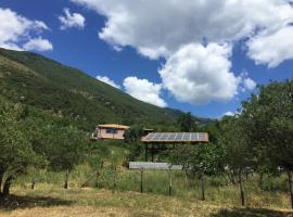 Affittacamere L’ Agrumeto, hotel in Maratea