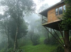 Nature Zone Jungle Resort, campismo de luxo em Munnar