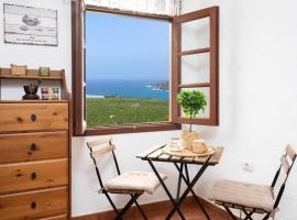 CASA CANARIA ACERÓ, cottage in Garachico