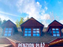 Penzion Pláž, מלון ידידותי לחיות מחמד בסלאפי