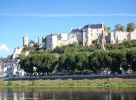 Studio Centre Ville Chinon, hotel v destinaci Chinon