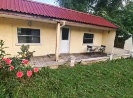 Mini maison indépendante avec terrasse