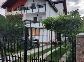 Casa Lica
