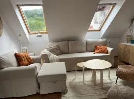 Apartament w centrum - Nasze poddasze