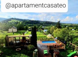 Apartament Casa Teo, holiday rental in Şaru Dornei