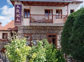 Arka Metsovo, guest house in Metsovo