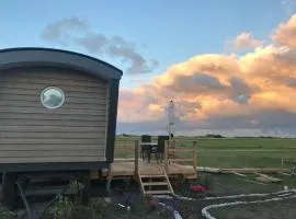 Schäferwagen Tiny House auf dem Friesenhof