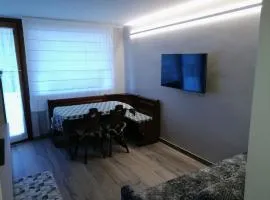 Appartamento Condominio Carlo Magno Folgarida Alta