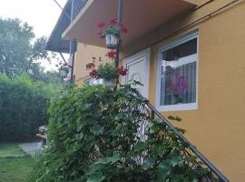 Casă de oaspeți ORSO