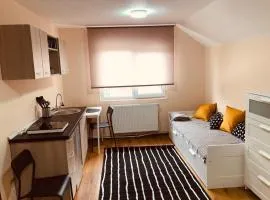 Modern Studio Apartment