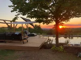 The view