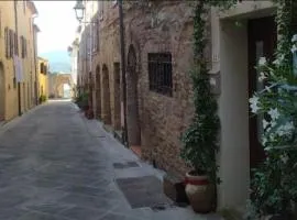Casa Contadina in borgo medievale, Tuscany