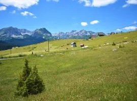 Durmitor view
