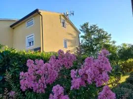 Apartment Lavanda