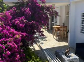 Il Platano di Nathaly