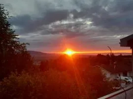 Ferienwohnung Bodenseeblick