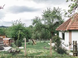 JELA Countryside House, hytte i Kosjerić