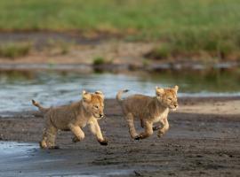 Africa Safari South Serengeti Ndutu Ngorongoro, luksuslik telkmajutus sihtkohas Sinoni