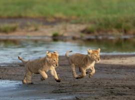 Africa Safari South Serengeti Ndutu Ngorongoro, glamping site in Sinoni