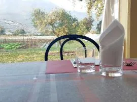 AZIENDA AGRITURISTICA LA VECCHIA QUERCIA