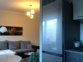 Cozy apartment near the city centre and Emajõgi, free parking, contact-free entrance